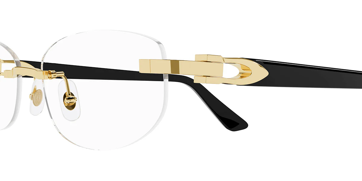 Cartier - CT0318O - Image 17