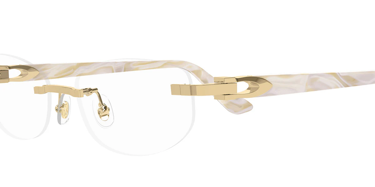 Cartier - CT0318O - Image 18