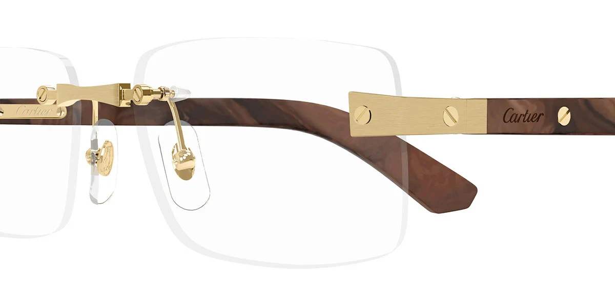 Cartier - CT0513O Santos de Cartier - Image 16