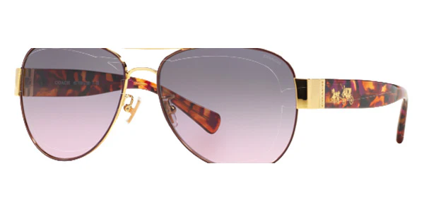 Coach - HC7059 L138
