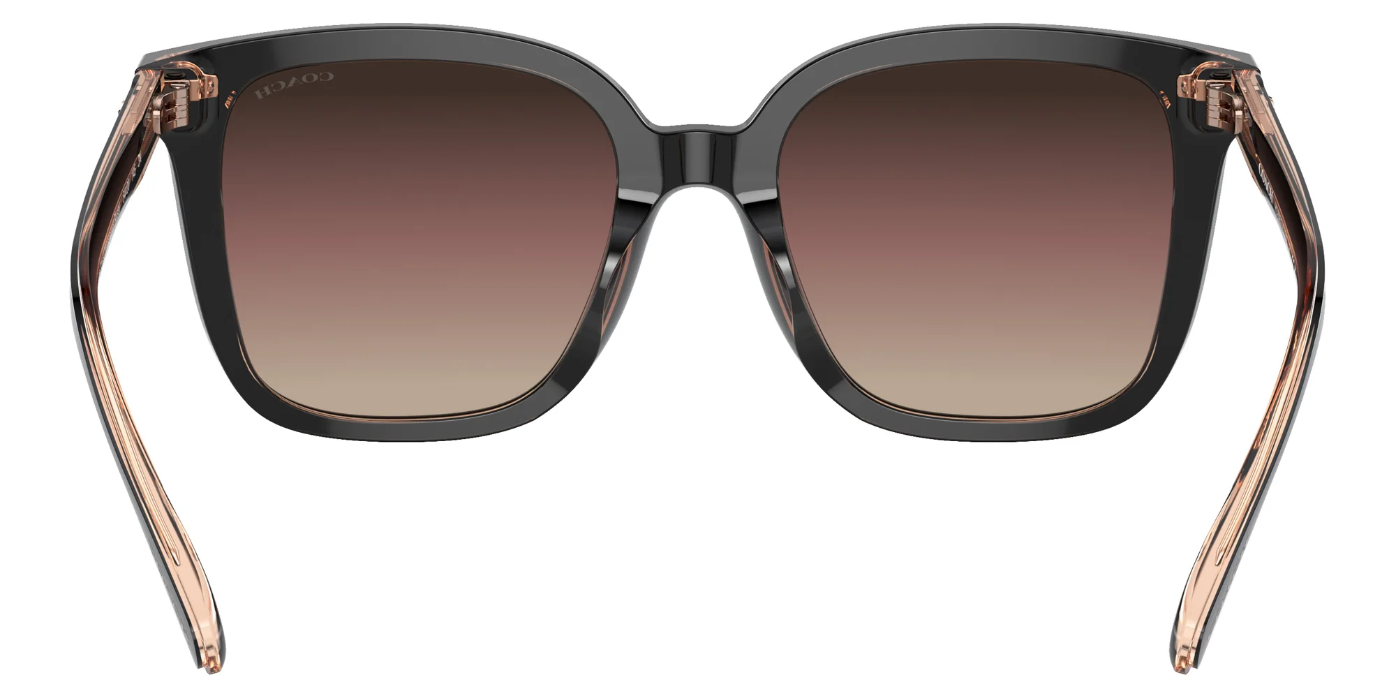 Coach - HC8381F CL919 - Image 9