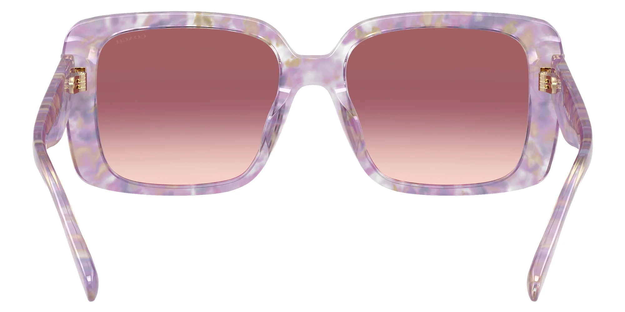 Coach - HC8424U CAD54 - Image 14