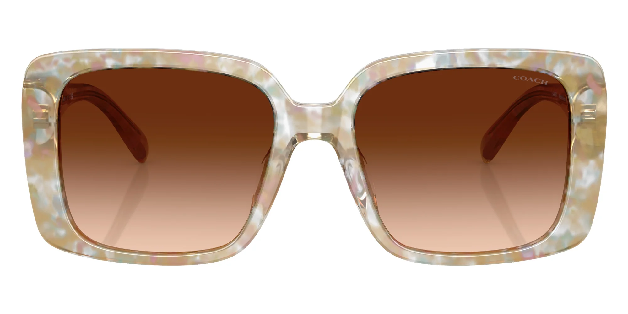 Coach - HC8424U CAD54 - Image 16