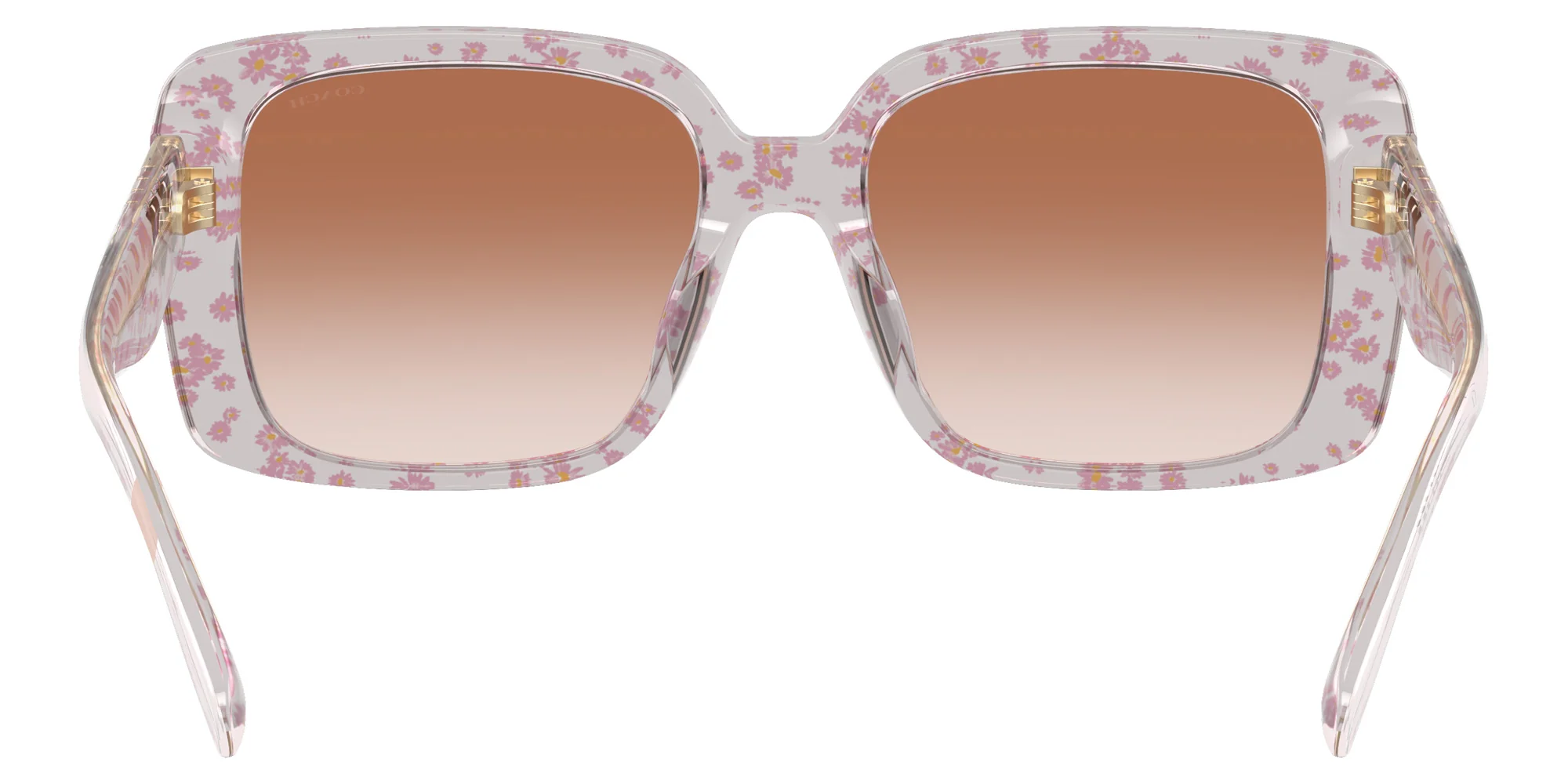 Coach - HC8424U CAD54 - Image 24