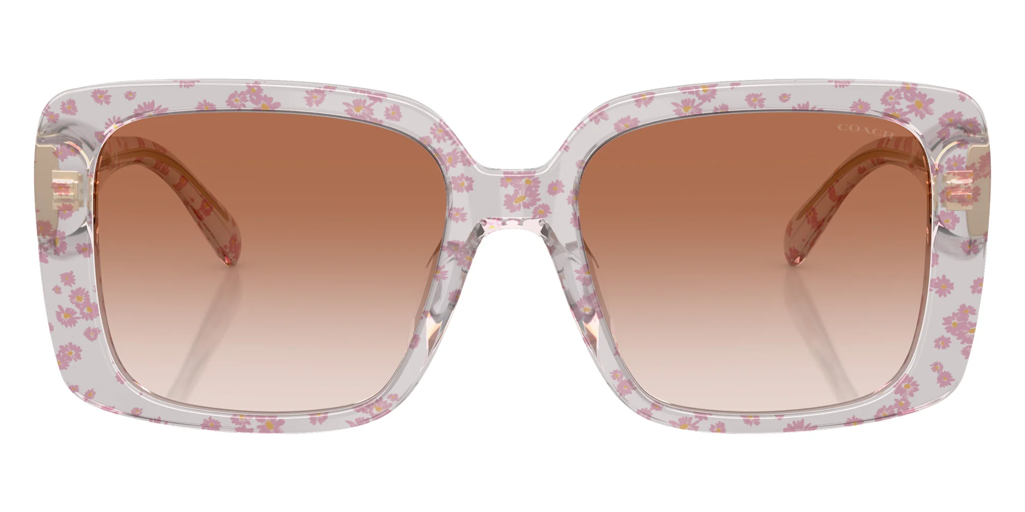 Coach - HC8424U CAD54 - Image 25