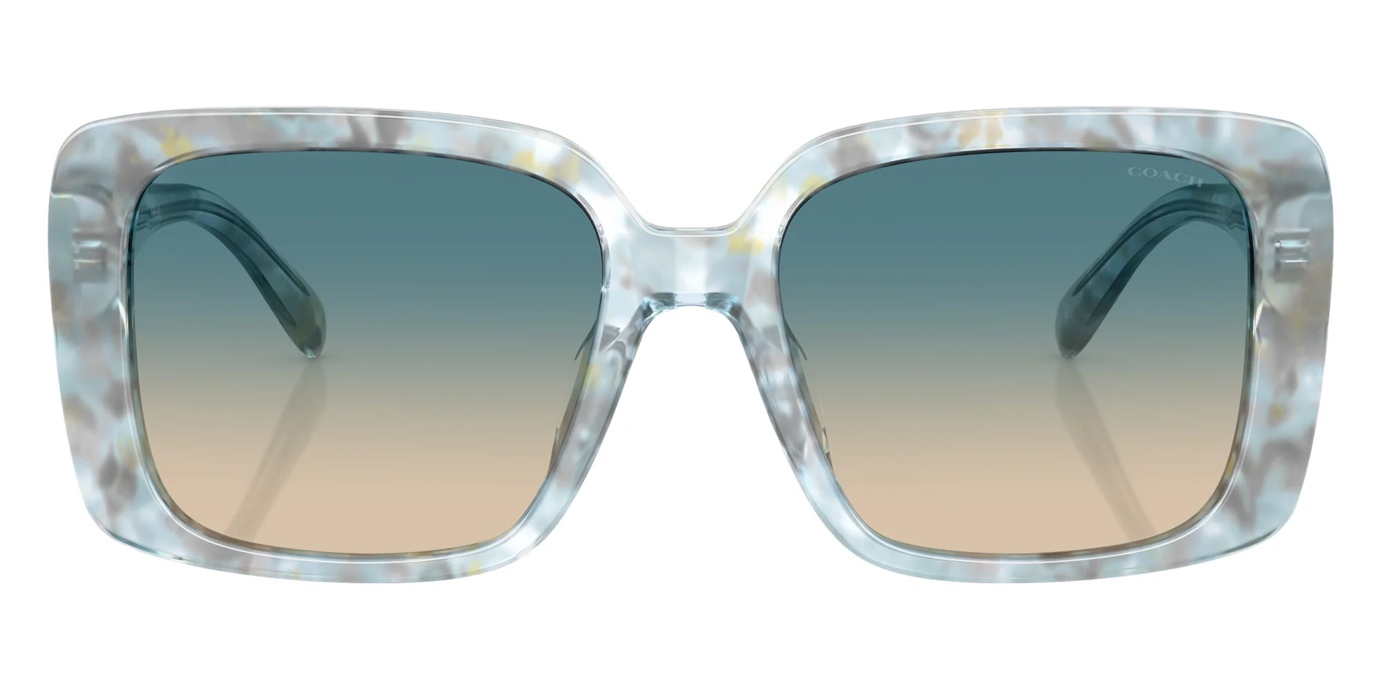 Coach - HC8424U CAD54 - Image 6