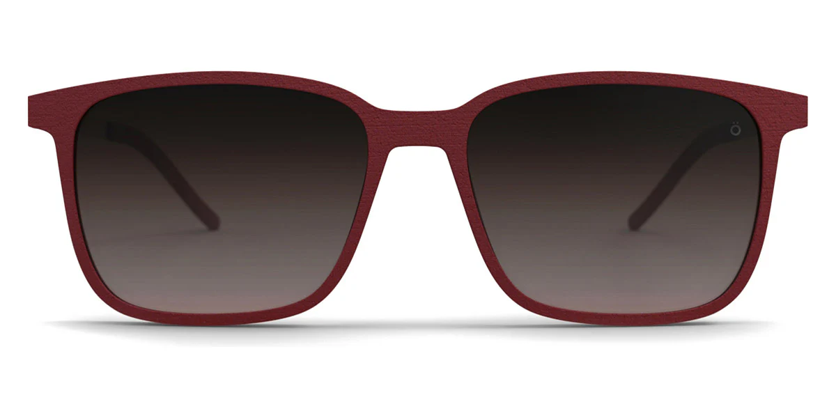 Götti - Pabis Sunglasses - Image 6